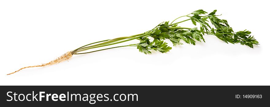 Fresh parsley with root on white background