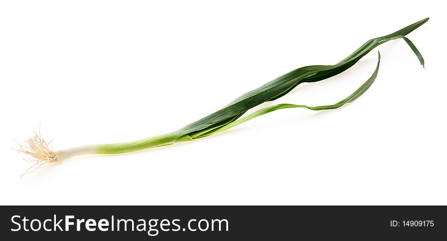 Fresh green leek isolated on white background