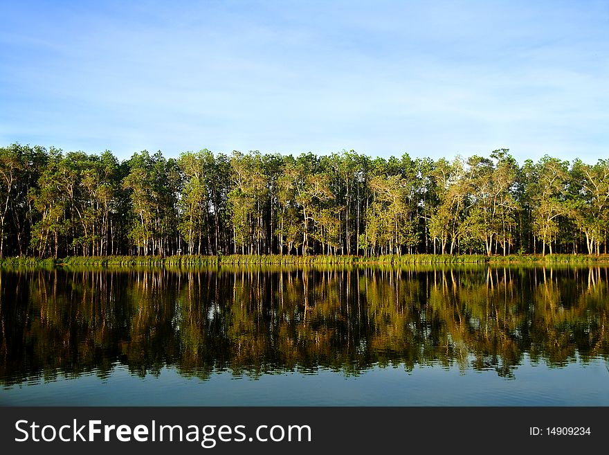 Reflection of Thailand forest in clear lake. Reflection of Thailand forest in clear lake