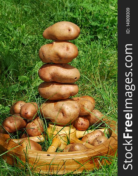 Still Life Of Potatoes