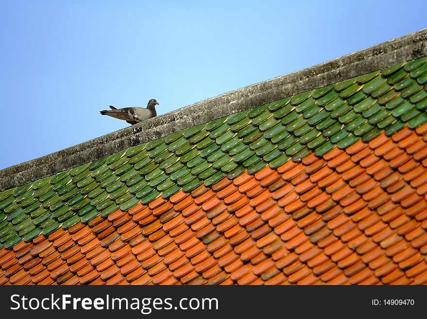 A Bird on the roof of Thailand temple. A Bird on the roof of Thailand temple