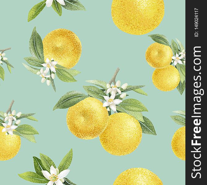 Hand Drawn Illustration Orange Fruit Seamless Pattern.