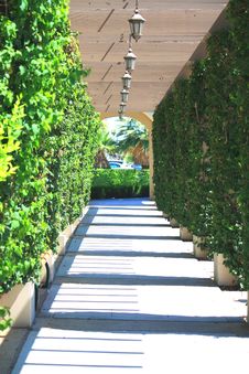 Garden Corridor Stock Image Garden Corridor Stock Image