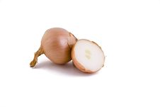 Golden Onions Stock Photography