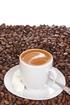 Coffee At Beans Stock Photos Coffee At Beans Stock Photos