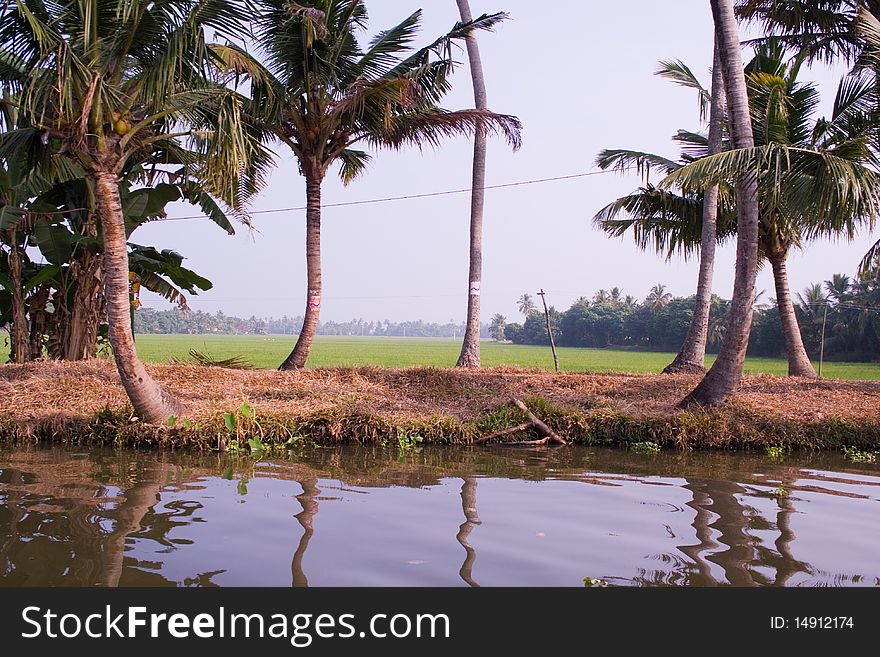 Alapuzha natural backwaters of kerala in India. Alapuzha natural backwaters of kerala in India