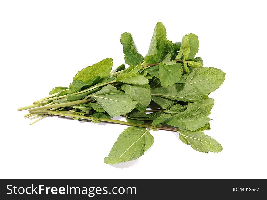 Fresh leafs of mint over white background