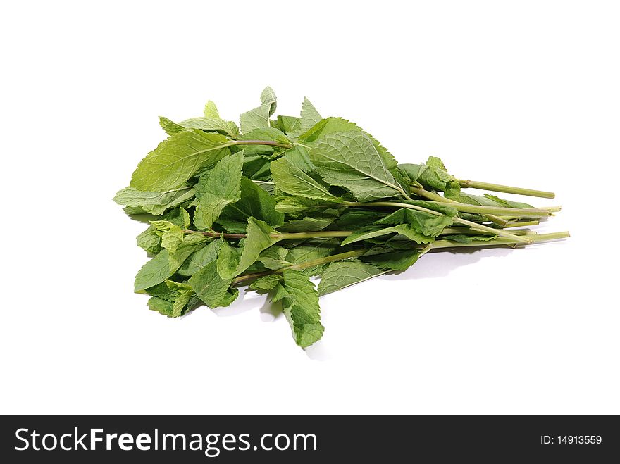 Fresh leafs of mint over white background