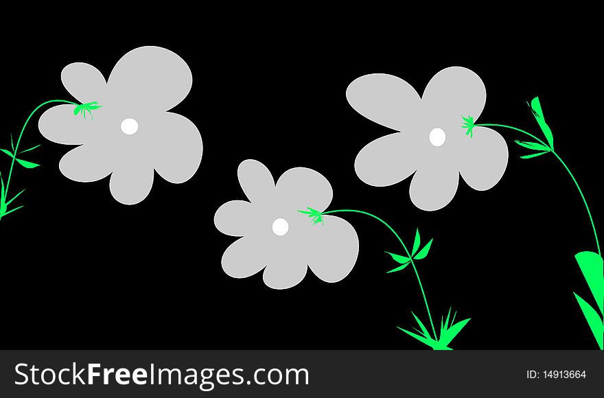 The three flowers on the black background