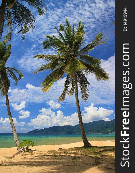 Tropical beach with coconut trees and spectacular cloud formations. Tropical beach with coconut trees and spectacular cloud formations