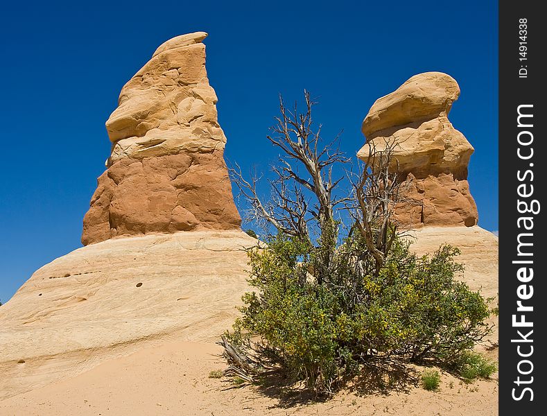 Devil's Garden recreational area in Utah with a few great sandstone formations