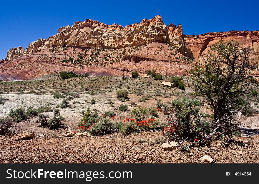 A landscape image of the Earth crust near Capitol Reef National Park