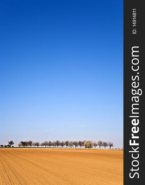 Freshly ploughed acre with row of trees at the horizon