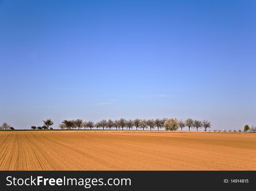 Freshly ploughed acre with row of trees at the horizon