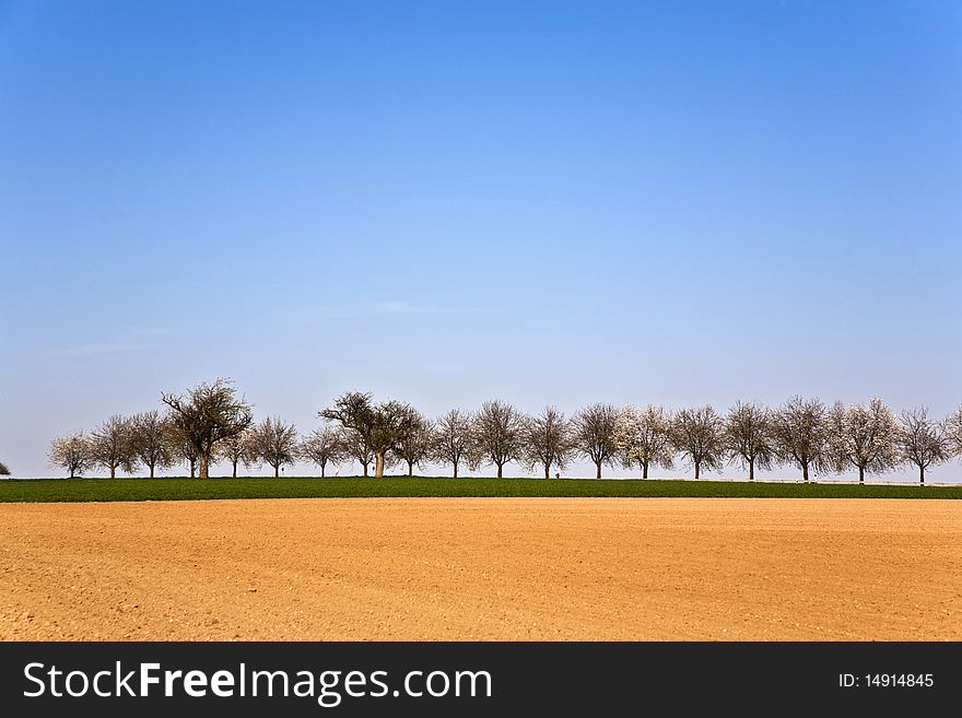 Freshly ploughed acre with row of trees at the horizon