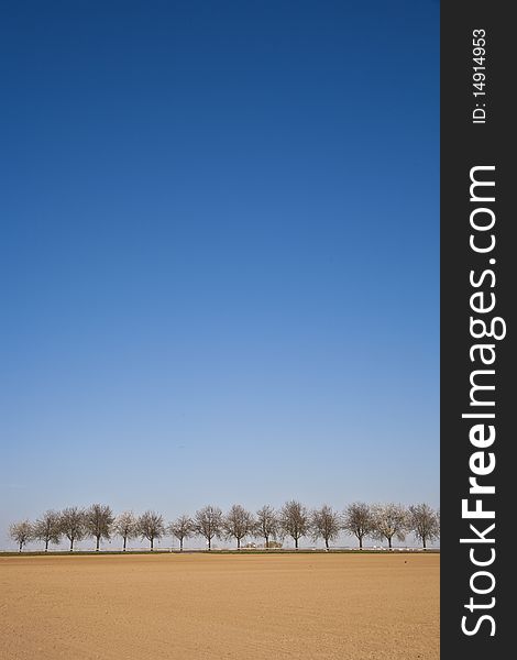 Freshly ploughed acre with row of trees at the horizon