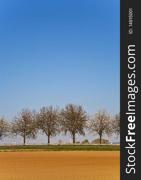 Freshly ploughed acre with row of trees at the horizon