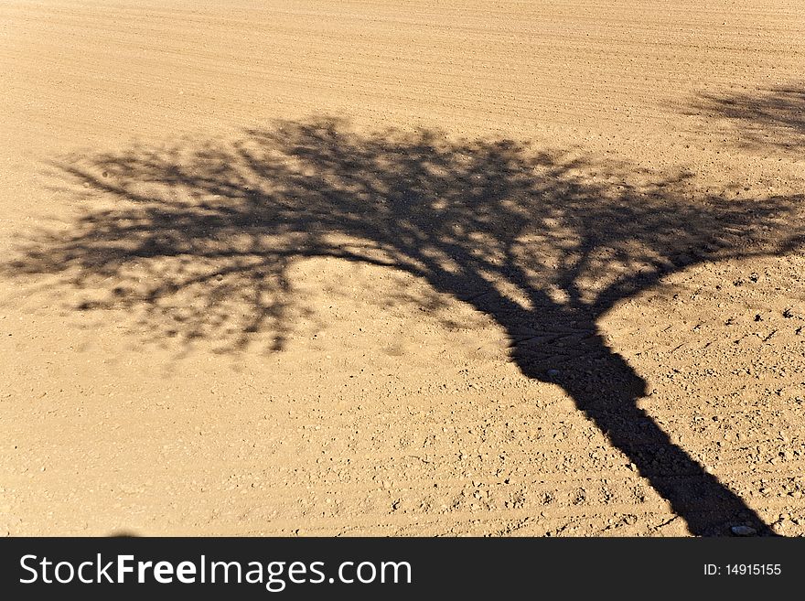 Freshly Ploughed Acre With Shadow Of Tree