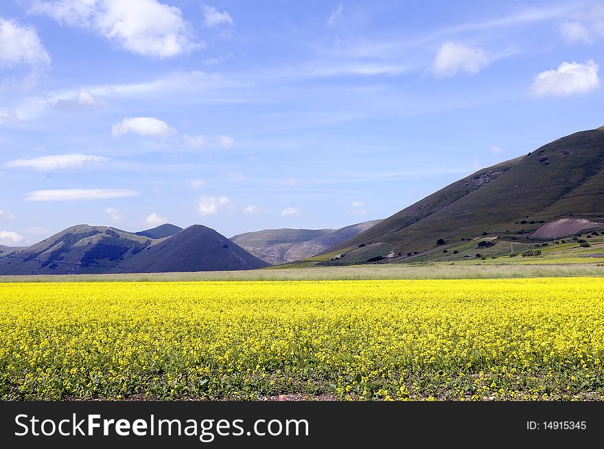 Castelluccio