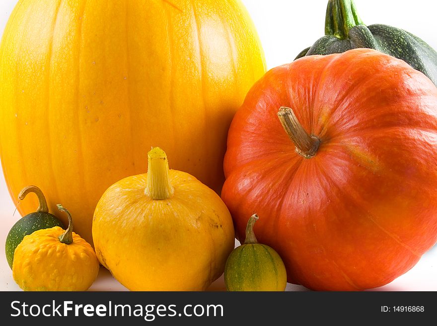 Colorful Gourds