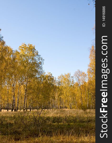 Beautiful autumn landscape with yellow, red and green trees