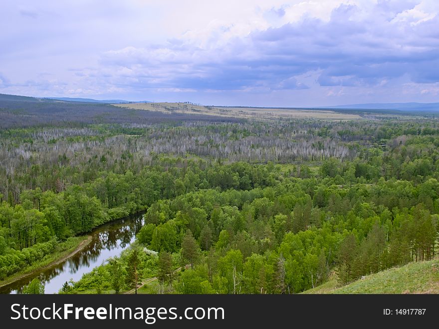 Landscape Of Transbaikalian Forest