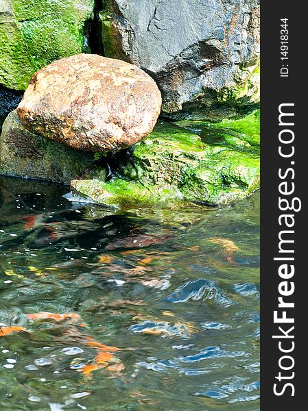 An Abstract of Rocky Pond covered by Algae