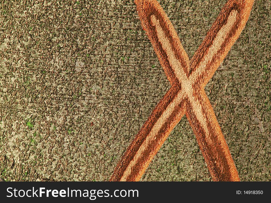 X mark on the bark of a tree