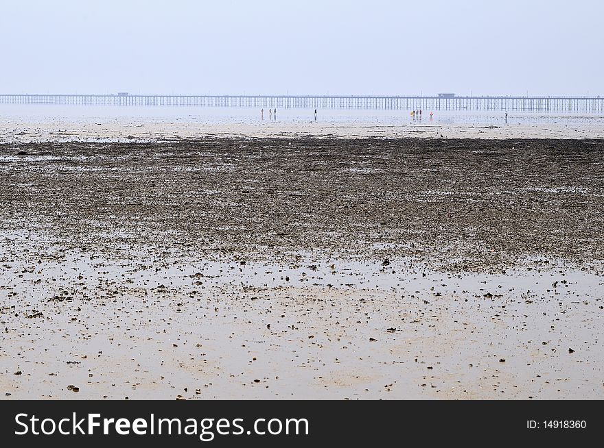 Shore of Northern Sea, UK Europe and bridge in background. Shore of Northern Sea, UK Europe and bridge in background