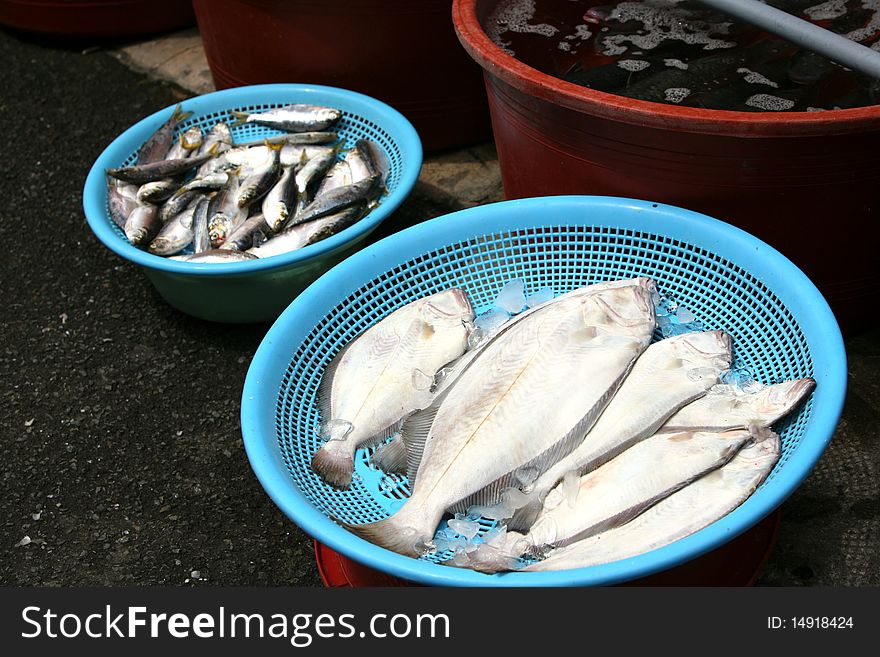 Flounder.Fish market in South Korea