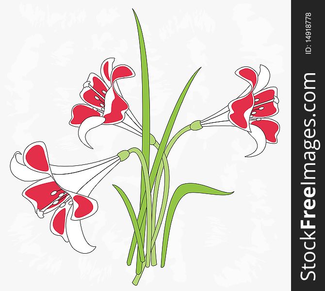 Illustration of lilies, isolated on old background