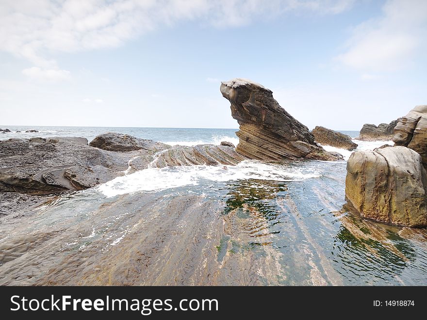 A dog-like Rock at the coast