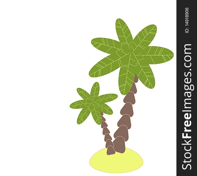 Illustration of palm tree, isolated, on white background