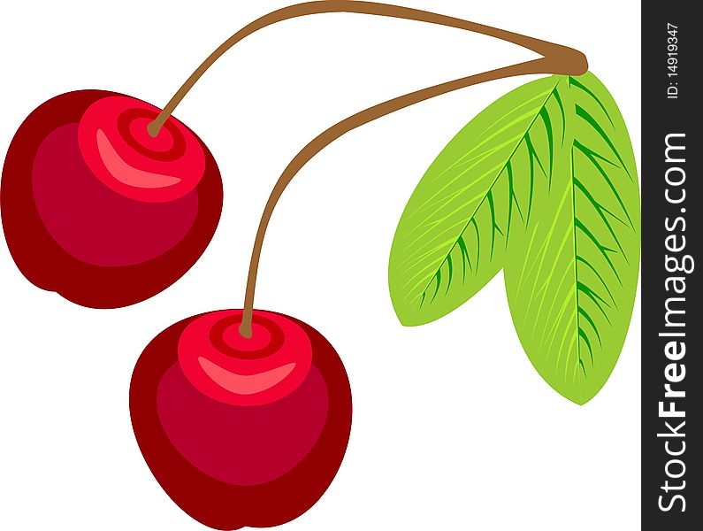 Two ripe cherries on a branch with leaves. Two ripe cherries on a branch with leaves
