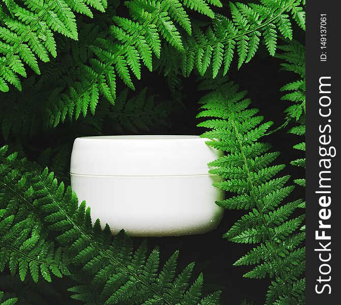 White jar of face cream on a background of forest herbs, fern. Dark light, top view, flat lay. Concept natural cosmetics.