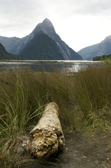 Milford Sound Royalty Free Stock Images