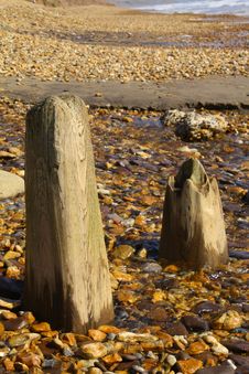 Wooden Beach Posts Stock Photo Wooden Beach Posts Stock Photo