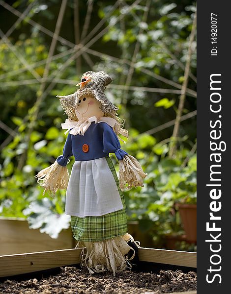 Scarecrow in a garden vegetable plot in UK