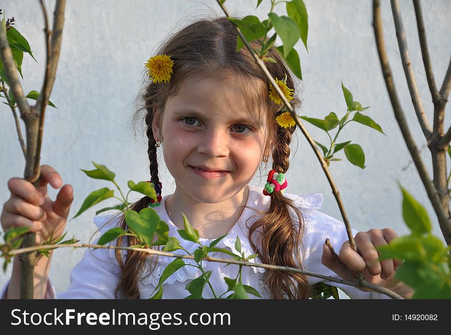 Little nice girl smiling among boughs of a lilac. Little nice girl smiling among boughs of a lilac