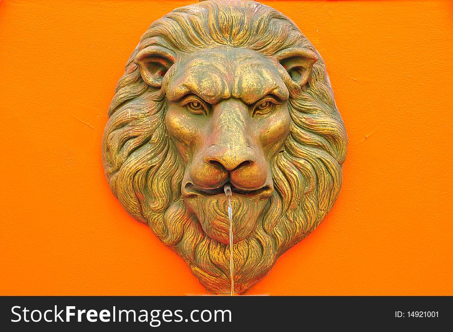 Lion blow water on orange background