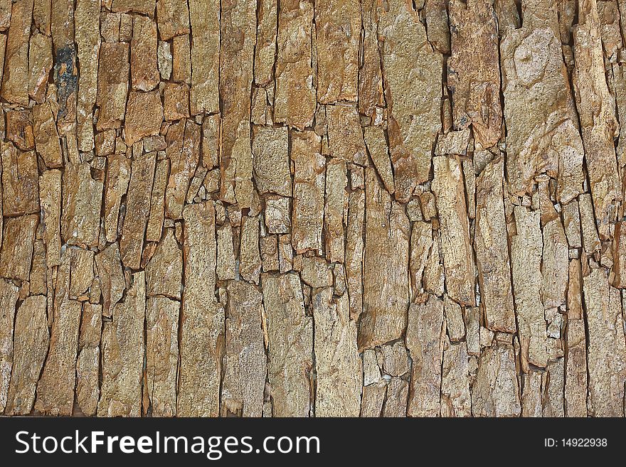 Background bark brown look beautiful of thailand