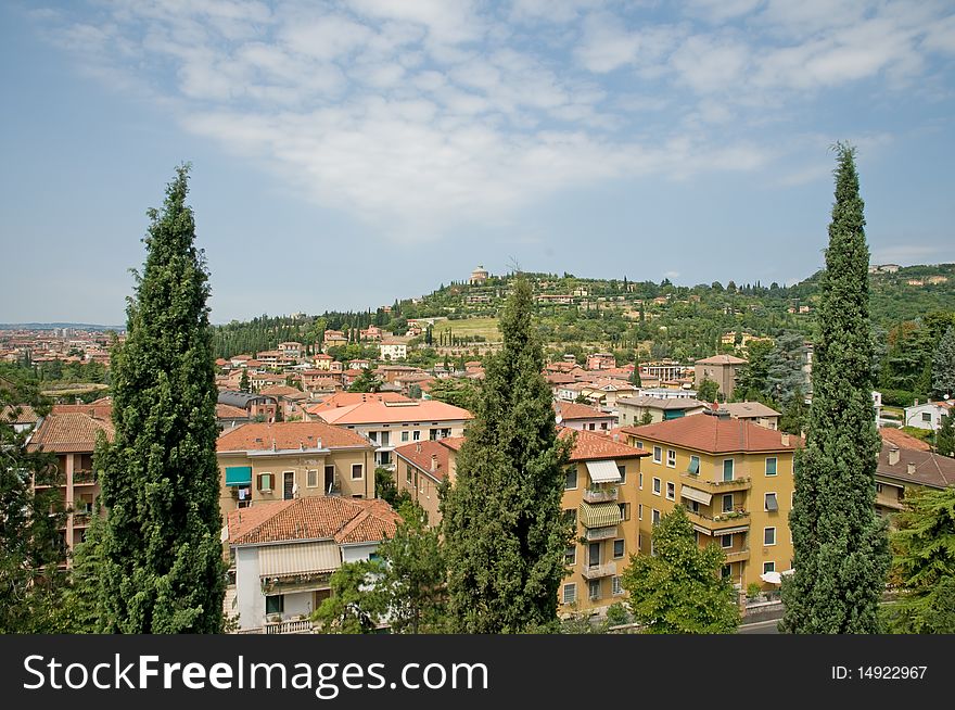 A view of the pines and landscape in verona in italy. A view of the pines and landscape in verona in italy