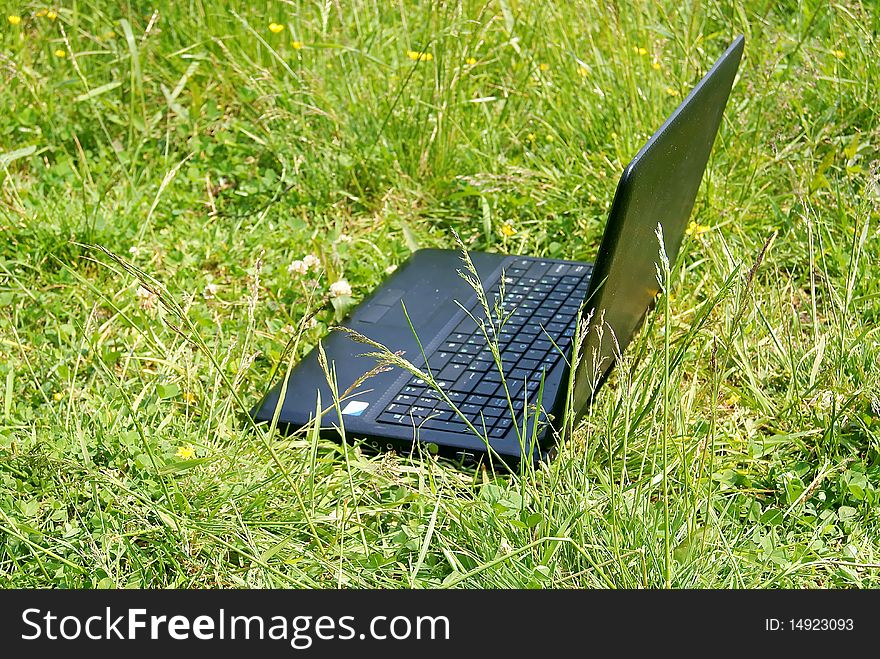 The Notebook On A Grass