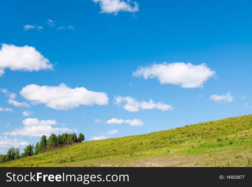 Background of cloudy sky and grass. Background of cloudy sky and grass