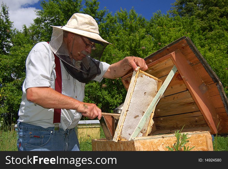 Beekeeper is working in his apiary during honey harvest