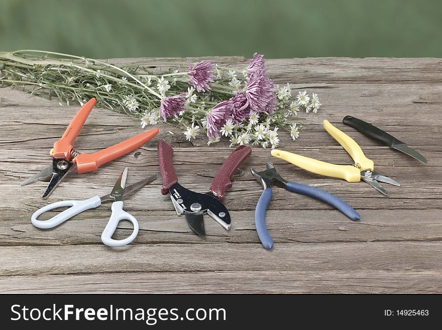 Outdoor garden trimming tools with flowers. Outdoor garden trimming tools with flowers