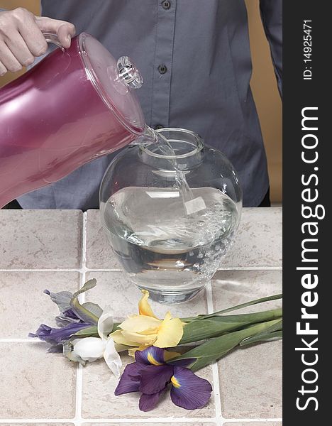 Woman fills a glass vase with water to display flowers. Woman fills a glass vase with water to display flowers