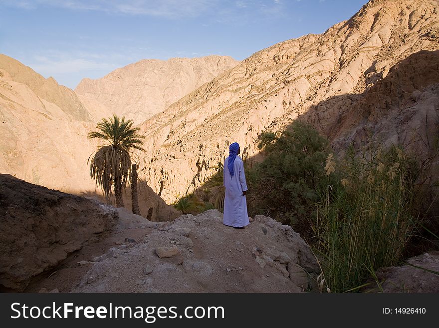 Portrait of Egyptian bedouin in ethnic wear