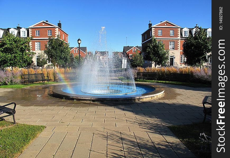 Town homes during a sunny day with leaves