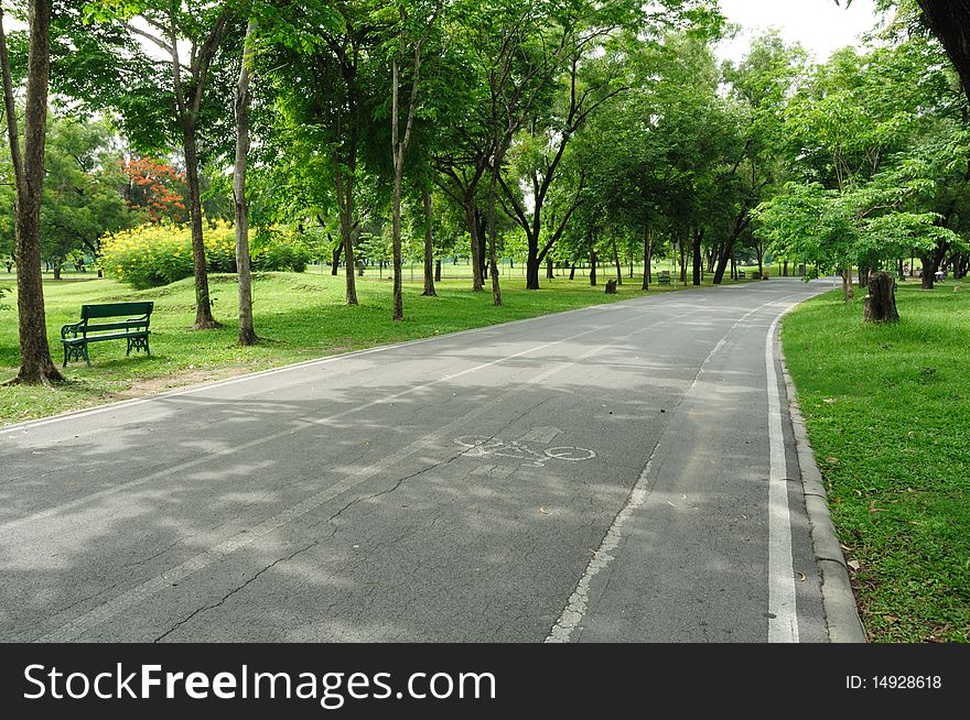 Running track and bycicle lane in the park.